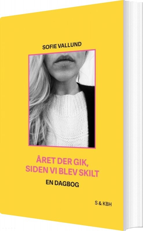 året Der Gik, Siden Vi Blev Skilt - Sofie Vallund - Bog - Saxo Publish