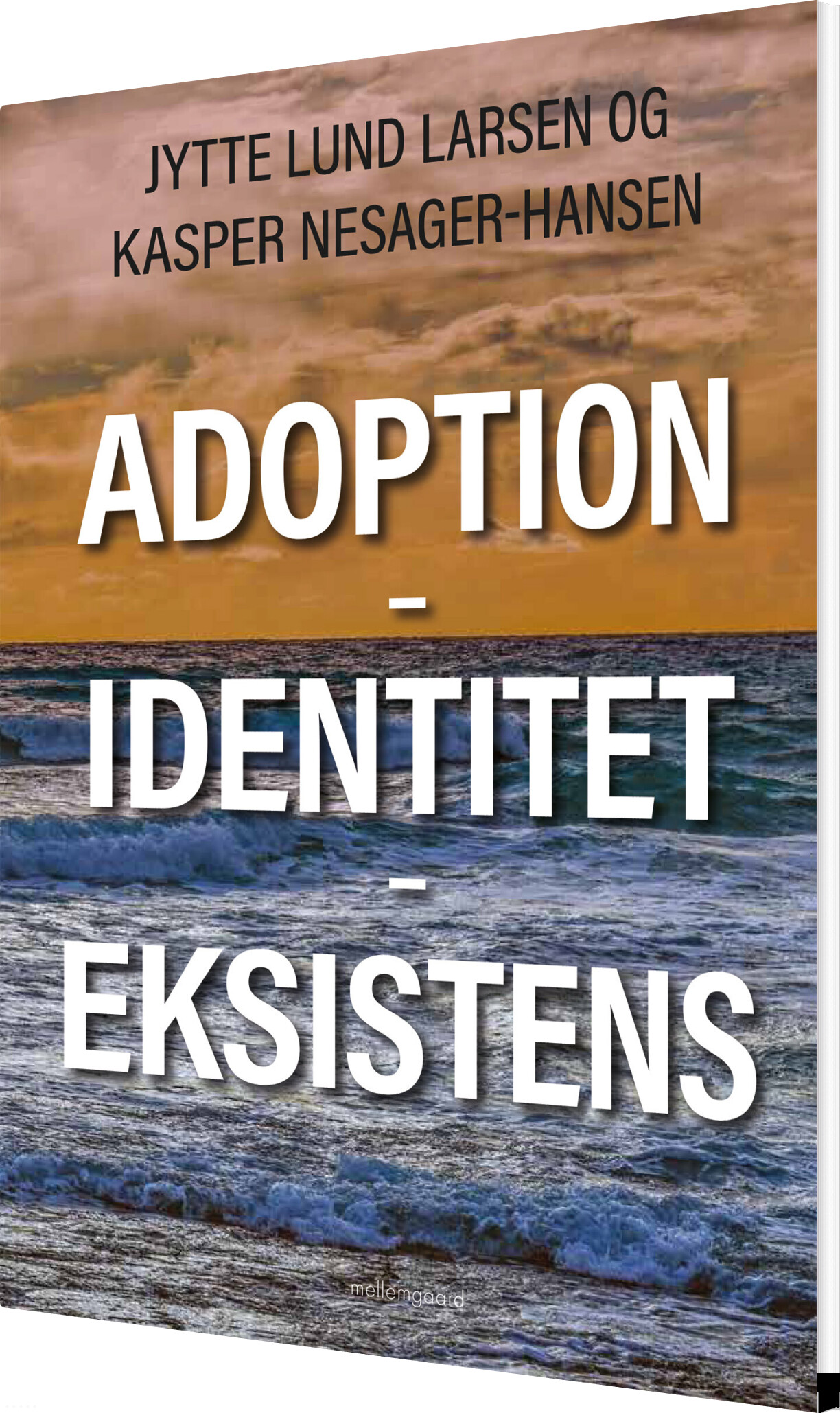 Adoption - Identitet - Eksistens - Jytte Lund Larsen - Bog - Mellemgaard