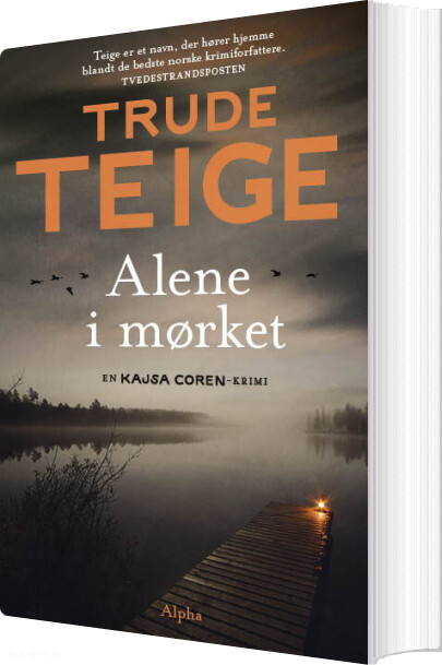 Alene I Mørket - Trude Teige - Bog - Alpha Forlag