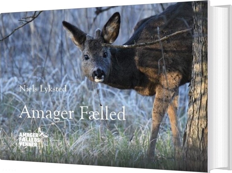 Amager Fælled - Niels Lyksted - Bog - Amager Fælleds Venner