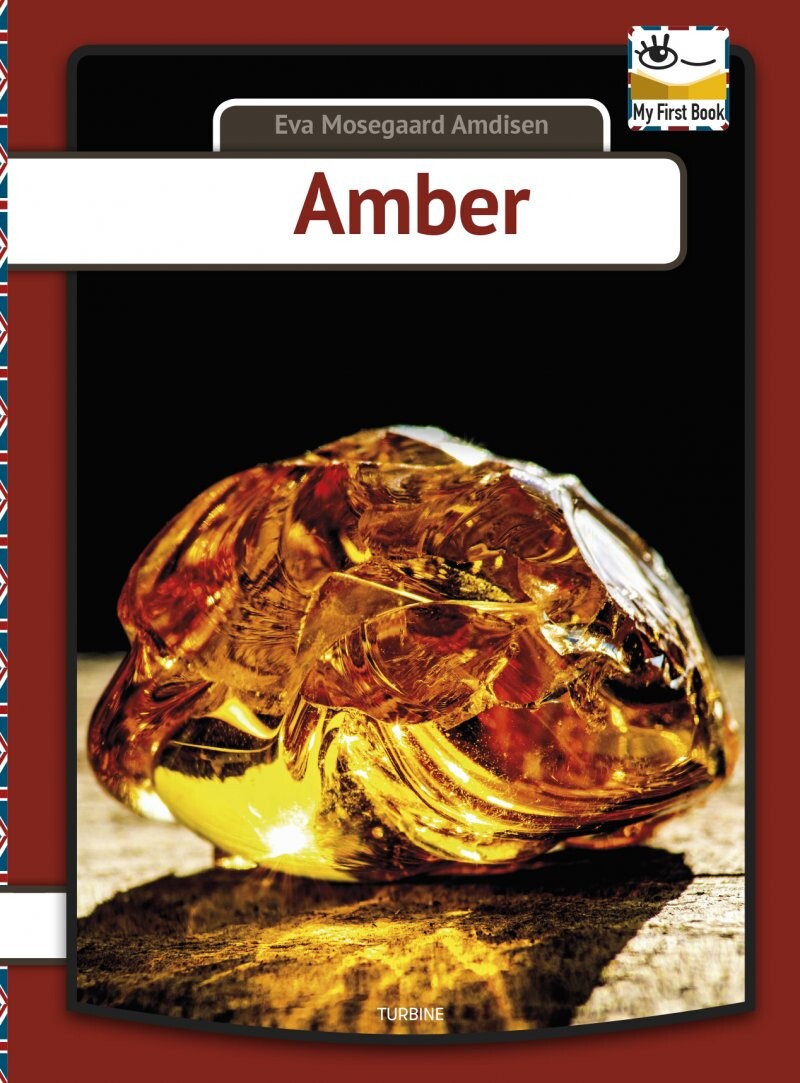 Amber - Eva Mosegaard Amdisen - English Book - Turbine