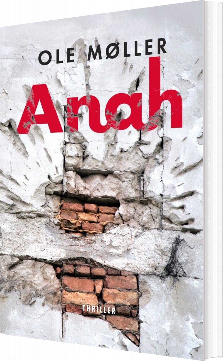 Anah - Ole Møller - Bog - Forlaget Forfatterskabet.dk