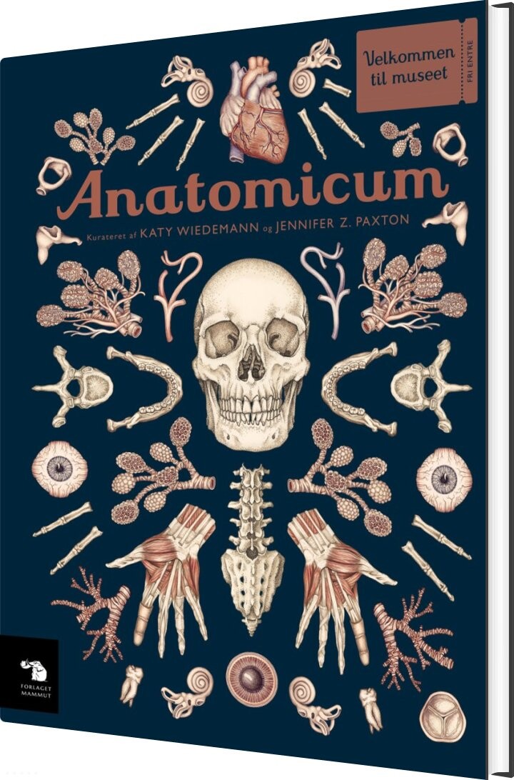 Anatomicum - Katy Wiedemann - Bog - Mammut