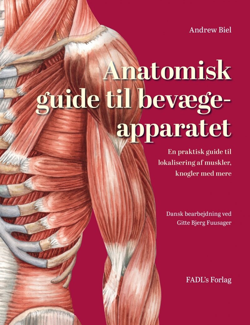 Anatomisk Guide Til Bevægeapparatet - Andrew Biel - Bog - Fadls Forlag