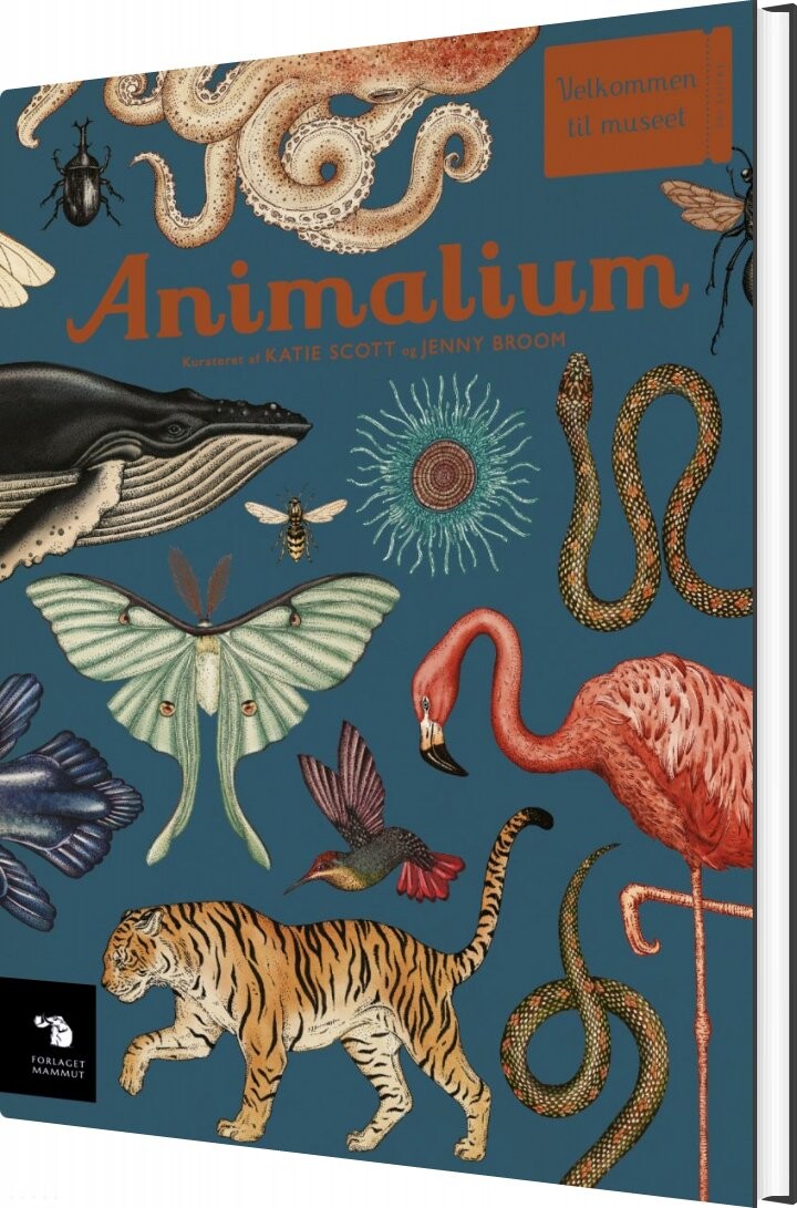 Animalium - Katie Scott - Bog - Mammut