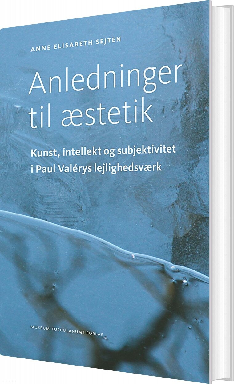 Anledninger Til æstetik - Anne Elisabeth Sejten - Bog - Museum Tusculanums Forlag