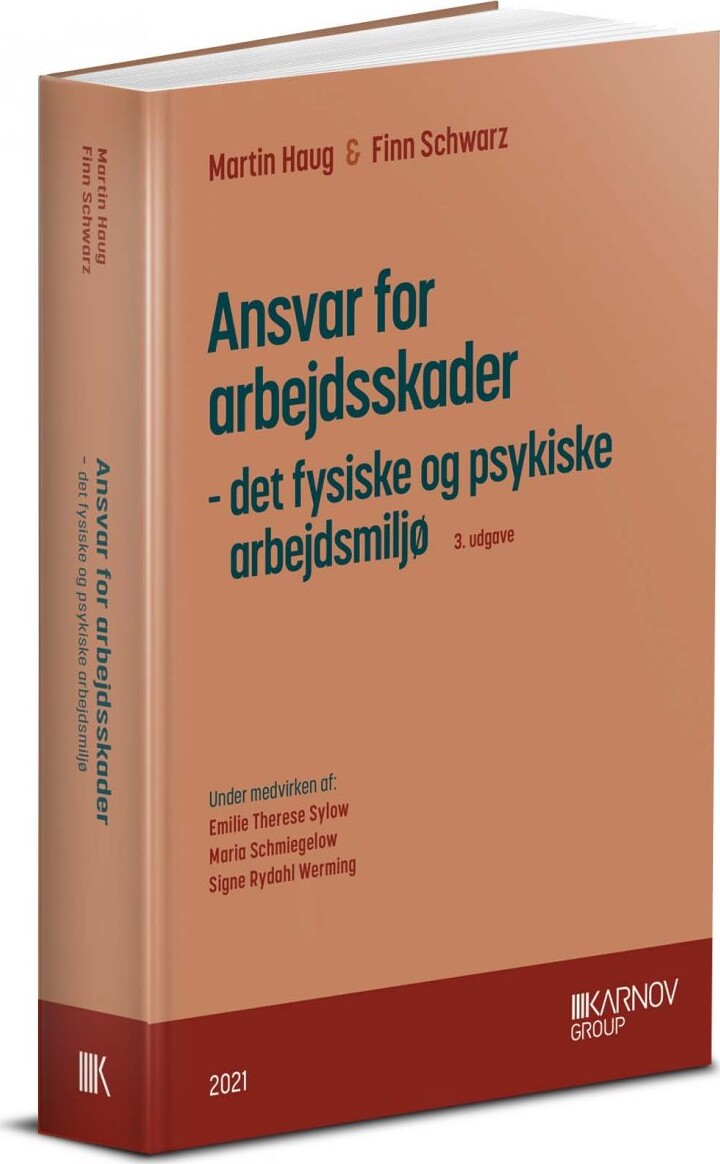 Ansvar For Arbejdsskader - Det Fysiske Og Psykiske Arbejdsmiljø - Finn Schwarz - Bog - Karnov Group