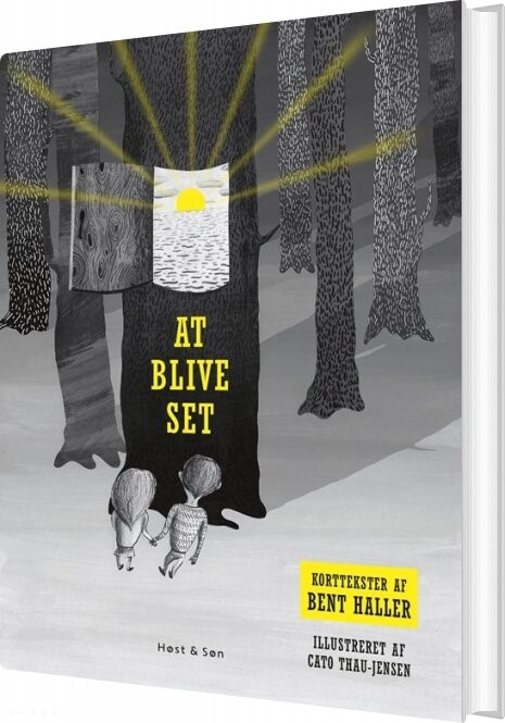 At Blive Set - Bent Haller - Bog - Høst & Søn