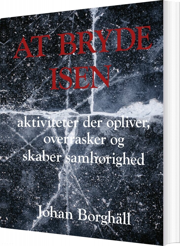 At Bryde Isen - Johan Borghäll - Bog