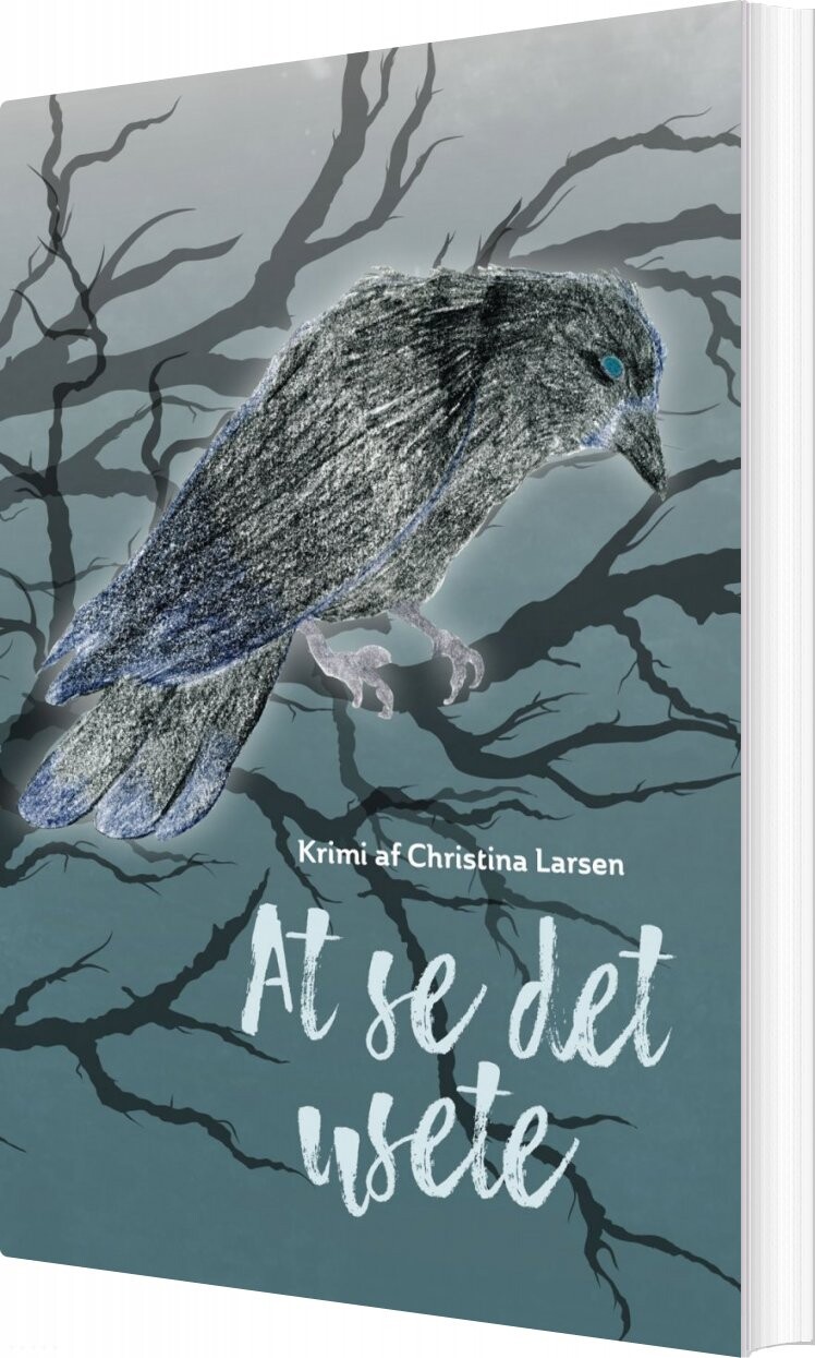 At Se Det Usete - Christina Larsen - Bog - Forlaget Forfatterskabet.dk