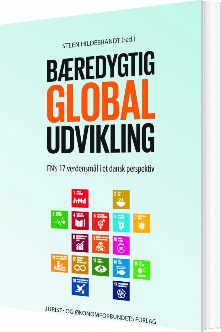 Bæredygtig Global Udvikling - Steen Hildebrandt - Bog - Djøf Forlag