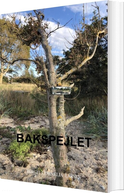 Bakspejlet - Birgit Cornelia  Larsen - Bog - Saxo Publish