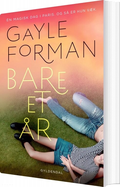 Bare Et år - Gayle Forman - Bog - Gyldendal