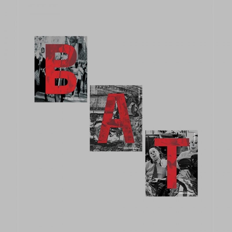 Bat: Bridging Art + Text - English book - Hurricane