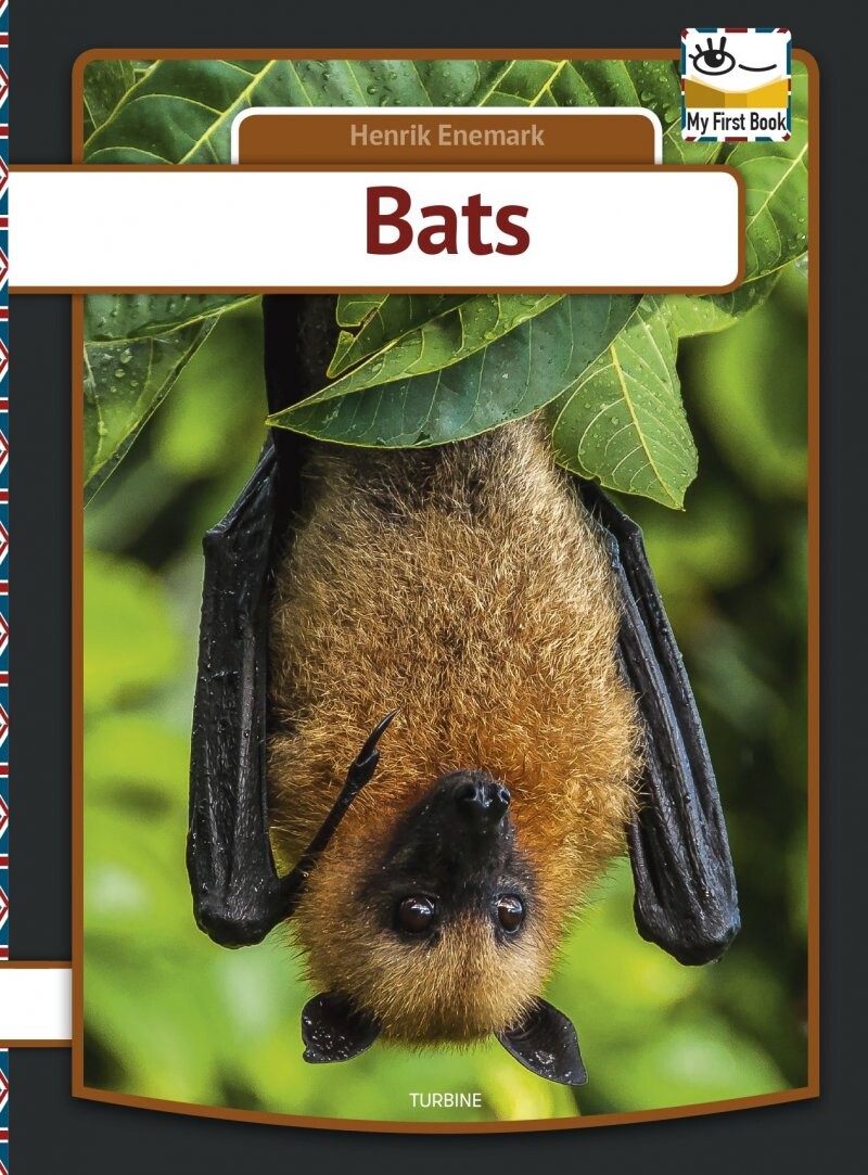 Bats - Henrik Enemark - English Book - Turbine
