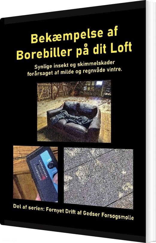 Bekæmpelse Af Borebiller På Dit Loft - Gitte Ahrenkiel - Bog - Books On Demand