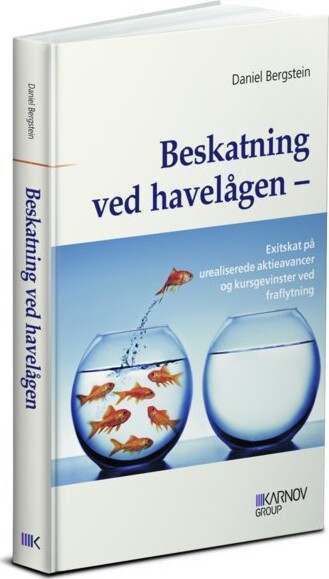 Beskatning Ved Havelågen - Daniel Bergstein - Bog - Karnov Group