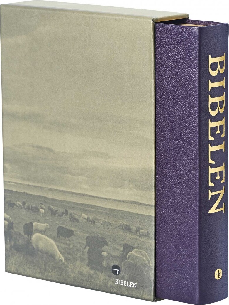 Bibelen Med Det Gamle Testamentes Apokryfe Bøger - Stort Format - Bog - Bibelselskabet