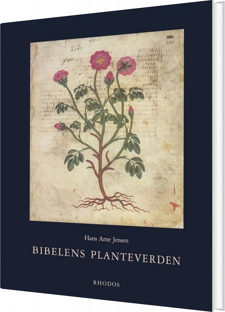 Bibelens Planteverden - Hans Arne Jensen - Bog - Forlaget Rhodos