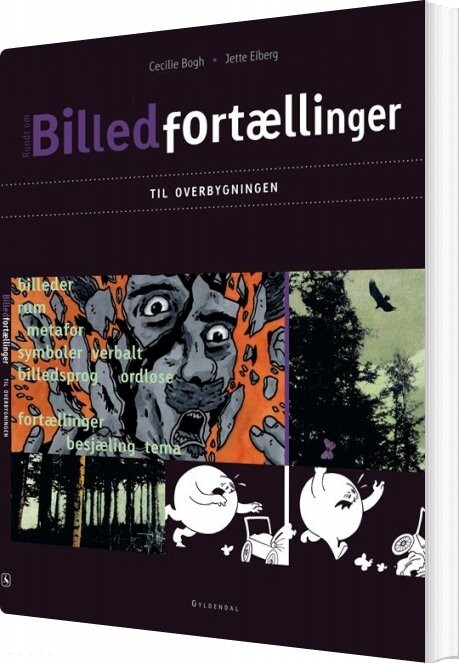 Billedfortællinger Til Overbygningen - Cecilie Bogh - Bog - Gyldendal