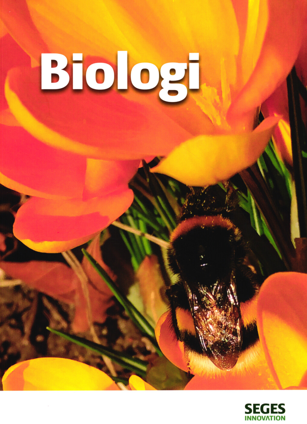 Biologi - Lotte Ipsen - Bog - Seges Forlag
