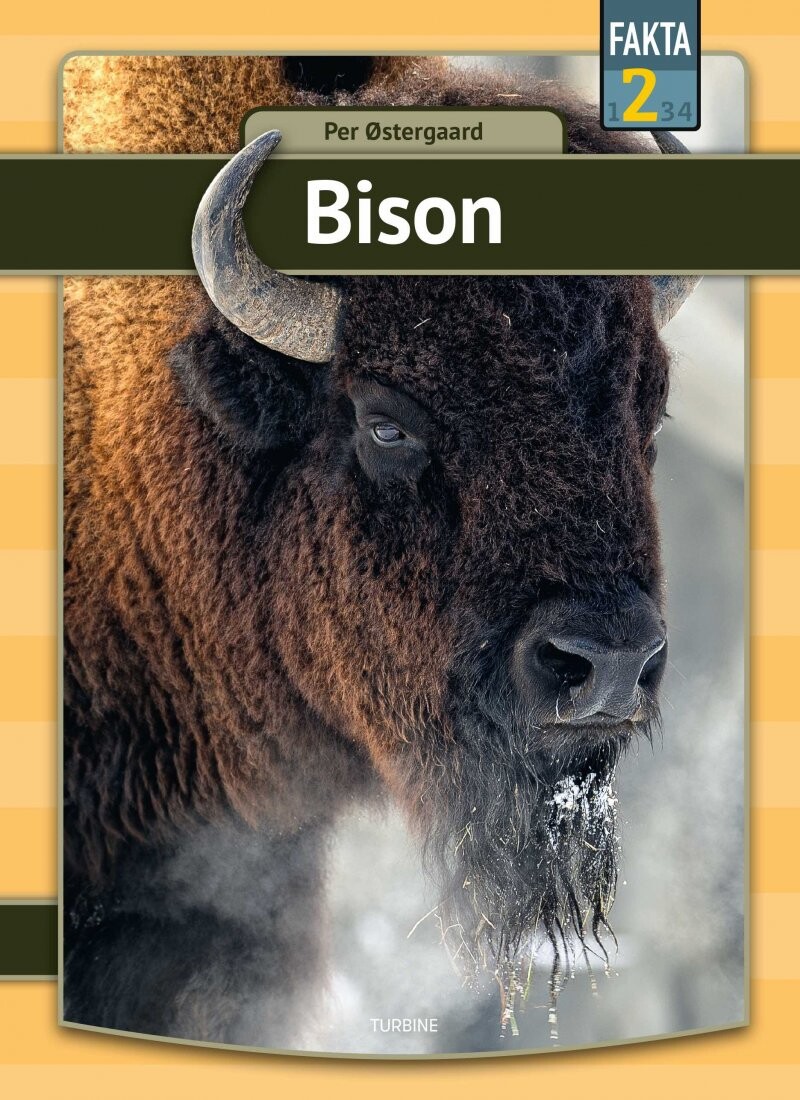 Bison - Per østergaard - Bog - Turbine
