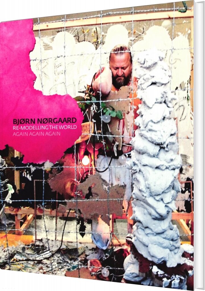 Bjørn Nørgaard - Birgitte Anderberg - English Book - Statens Museum For Kunst
