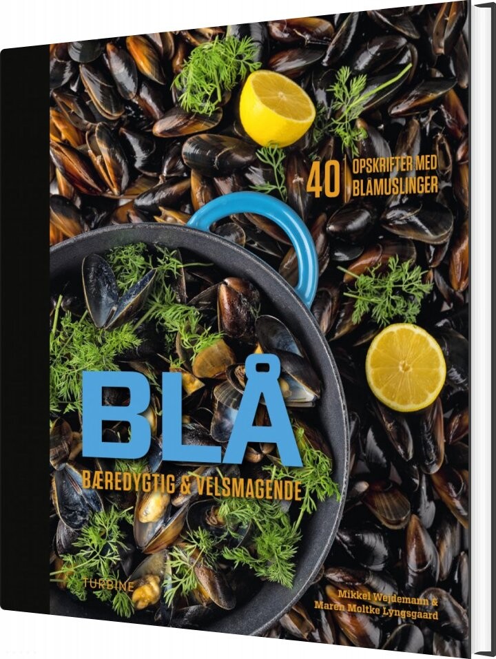 Blå - Mikkel Wejdemann - Bog - Turbine