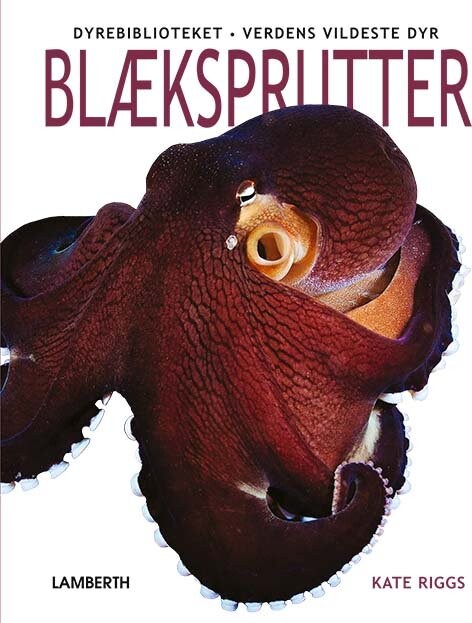Blæksprutter - Kate Riggs - Bog - Lamberth