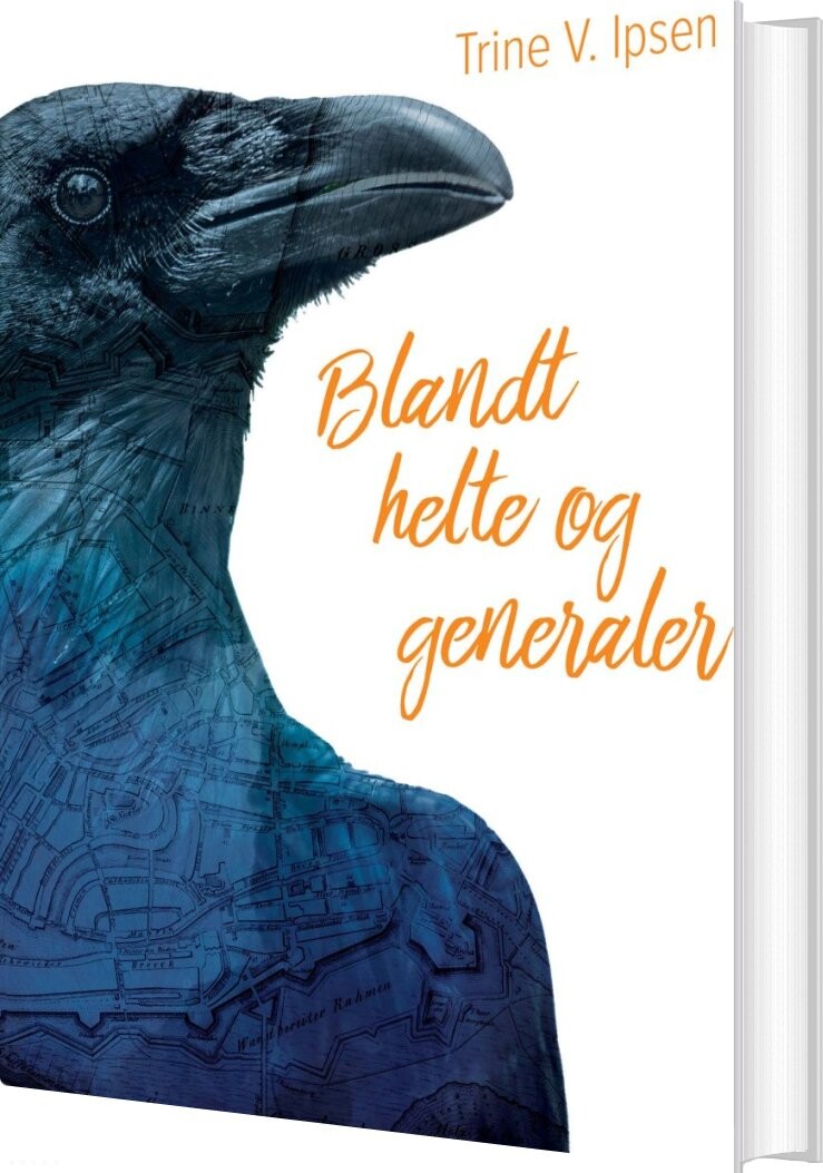 Blandt Helte Og Generaler - Trine V. Ipsen - Bog - Dreamlitt