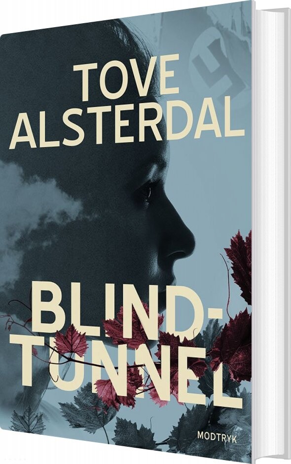 Blindtunnel - Tove Alsterdal - Bog - Modtryk