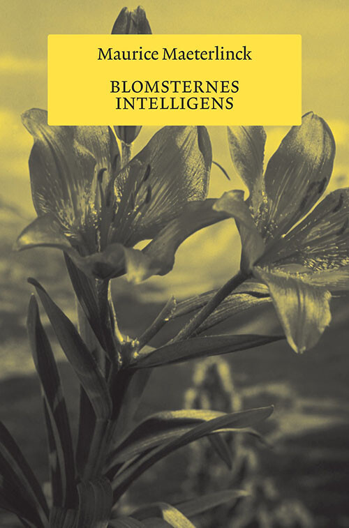 Blomsternes Intelligens - Maurice Maeterlinck - Bog - A Mock Book