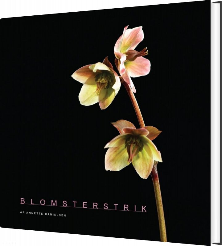Blomsterstrik - Annette Danielsen - Bog - Annetted