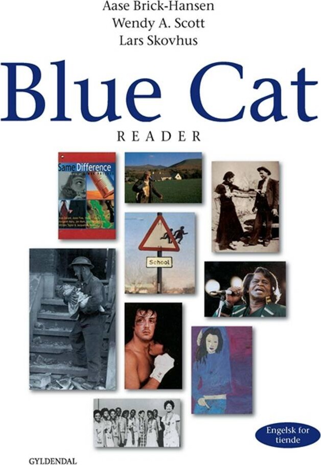 Blue Cat - Engelsk For Tiende - Aase Brick-hansen - Bog - Gyldendal