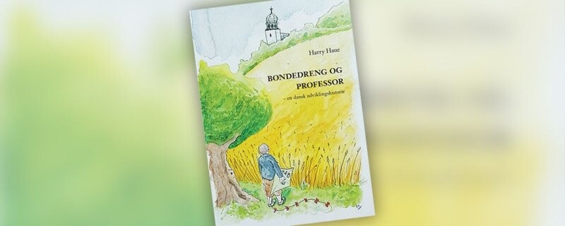 Bondedreng Og Professor - Harry Haue - Bog - Systime