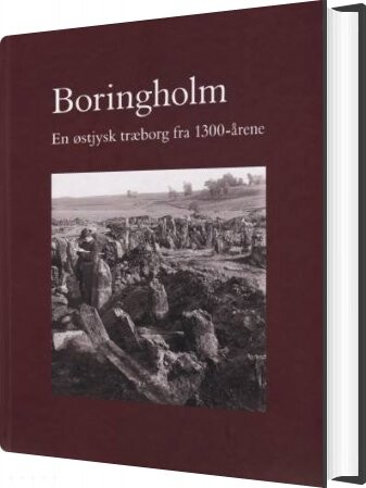 Boringholm - Else Roesdahl - Bog