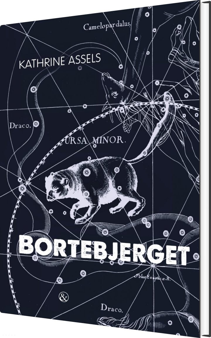 Bortebjerget - Kathrine Assels - Bog - Jensen & Dalgaard