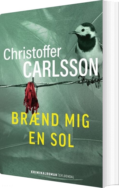 Brænd Mig En Sol - Christoffer Carlsson - Bog - Gyldendal