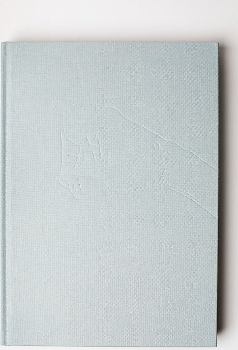 Brevstemmer - Vibeke Rønsbo - Bog - Helmin Publishing