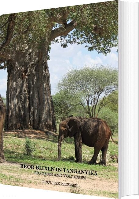Bror Blixen In Tanganyika - Poul Bæk Pedersen - English Book - Books On Demand