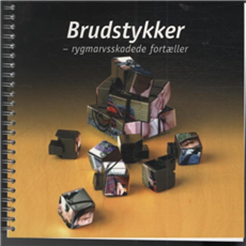 Brudstykker - Anders J. Andersen - Bog - Rygmarvsskadede I Danmark