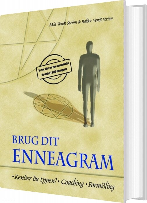 Brug Dit Enneagram - Balder Vendt-striim - Bog
