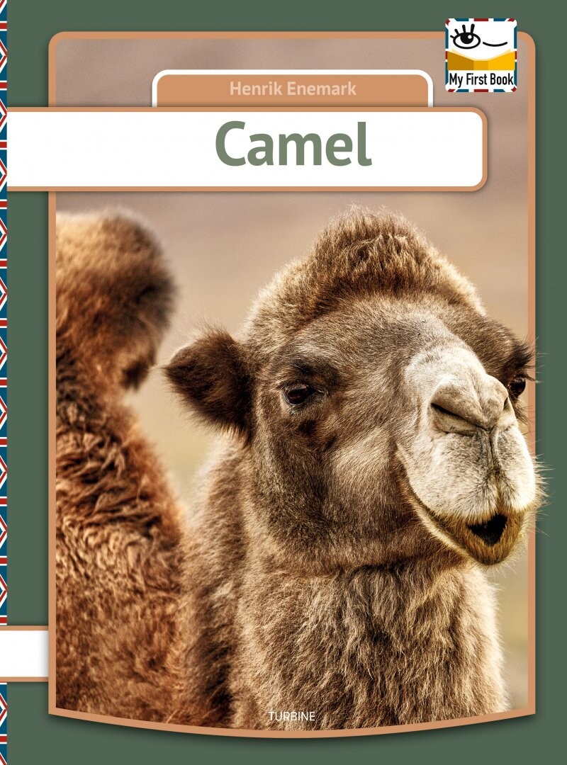 Camel - Henrik Enemark - English Book - Turbine