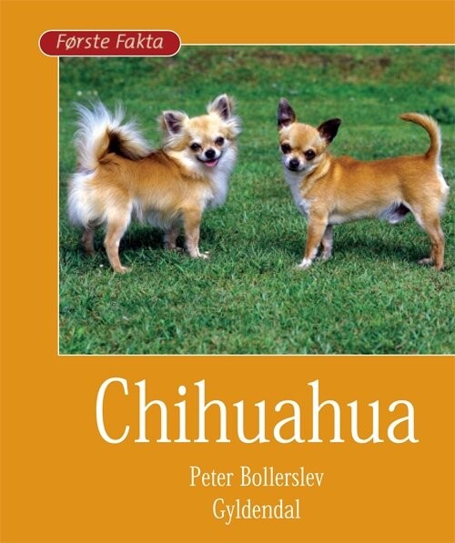 Chihuahua - Peter Bollerslev - Bog - Gyldendal