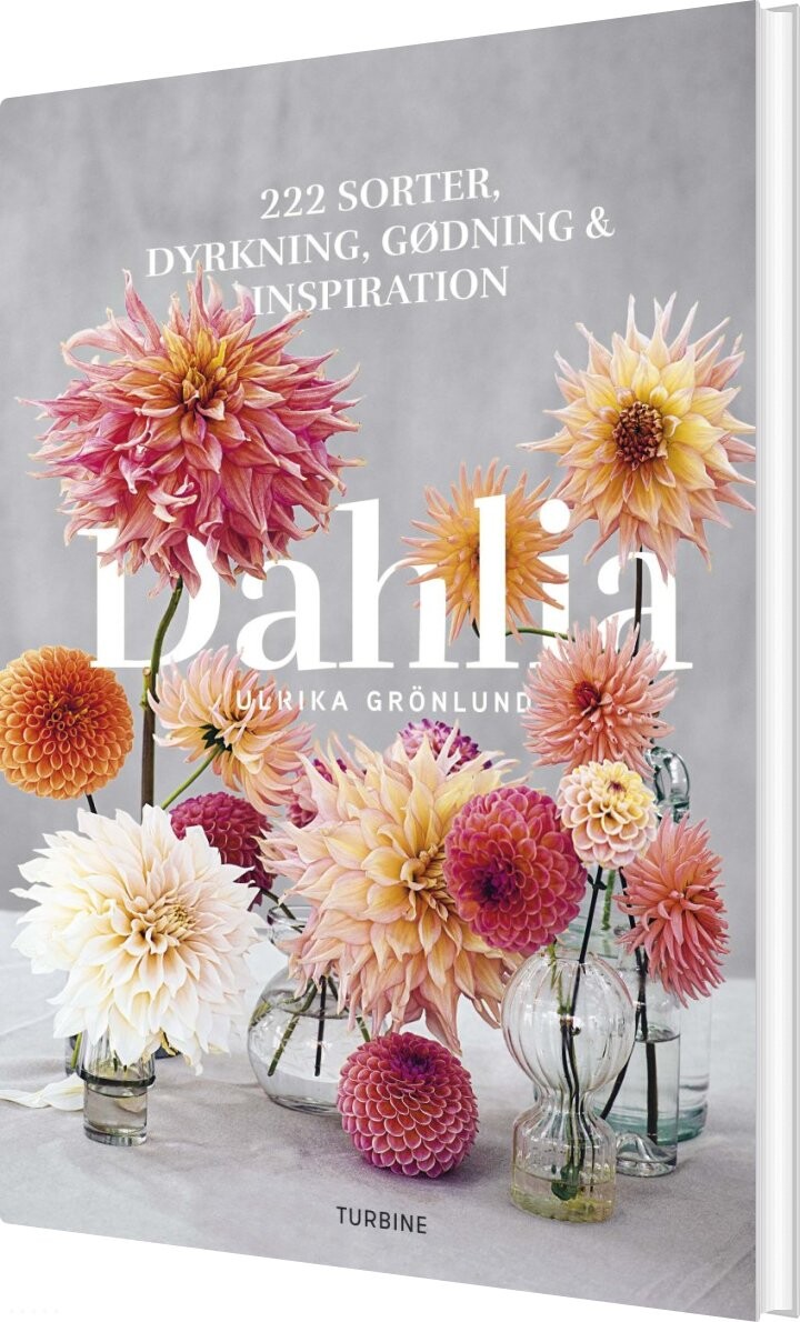 Dahlia - Ulrika Grönlund - Bog - Turbine