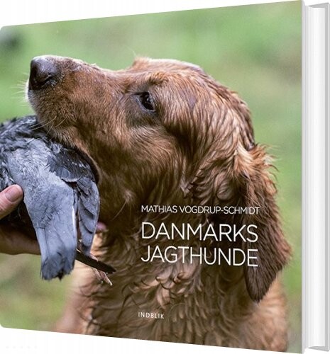 Danmarks Jagthunde - Mathias Vogdrup-schmidt - Bog - Indblik
