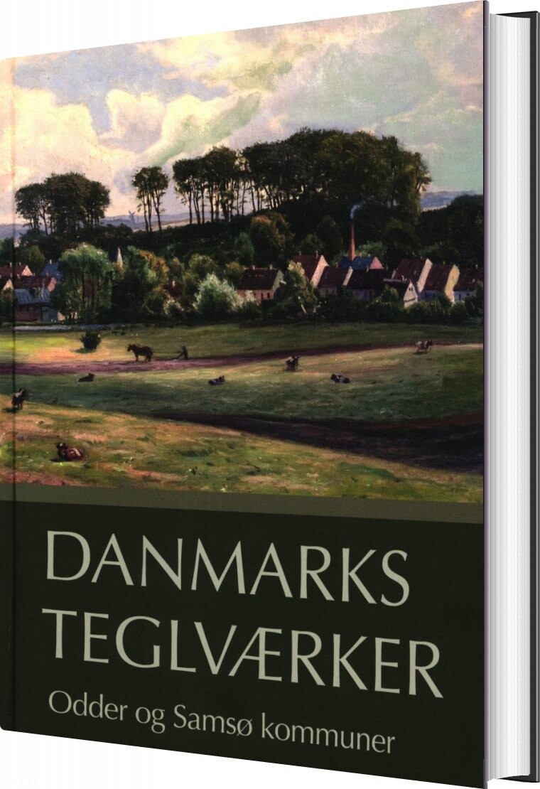 Danmarks Teglværker Odder Og Samsø Kommuner - Verner Bjerge - Bog - Museum Søderjylland