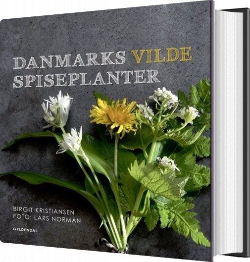 Danmarks Vilde Spiseplanter - Birgit Kristiansen - Bog - Gyldendal