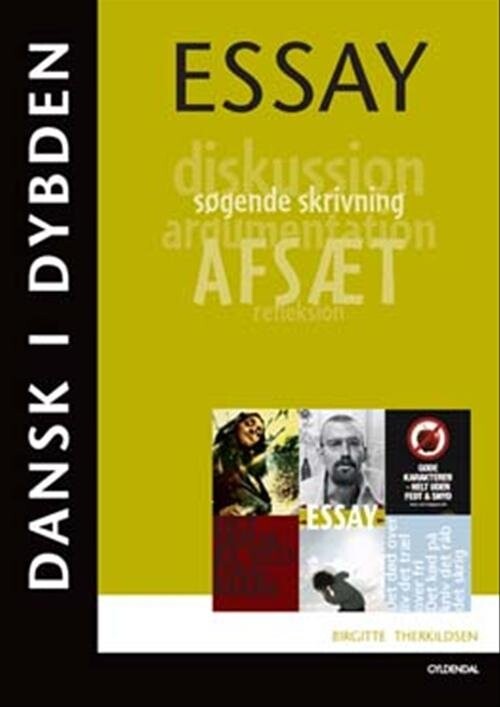 Dansk I Dybden - Essay - Birgitte Therkildsen - Bog - Gyldendal
