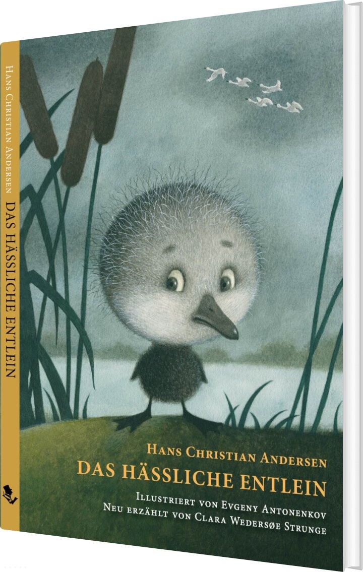 Das Hässliche Entlein - Hans Christian Andersen - Tysk Bog - Hans Christian Andersen Copenhagen